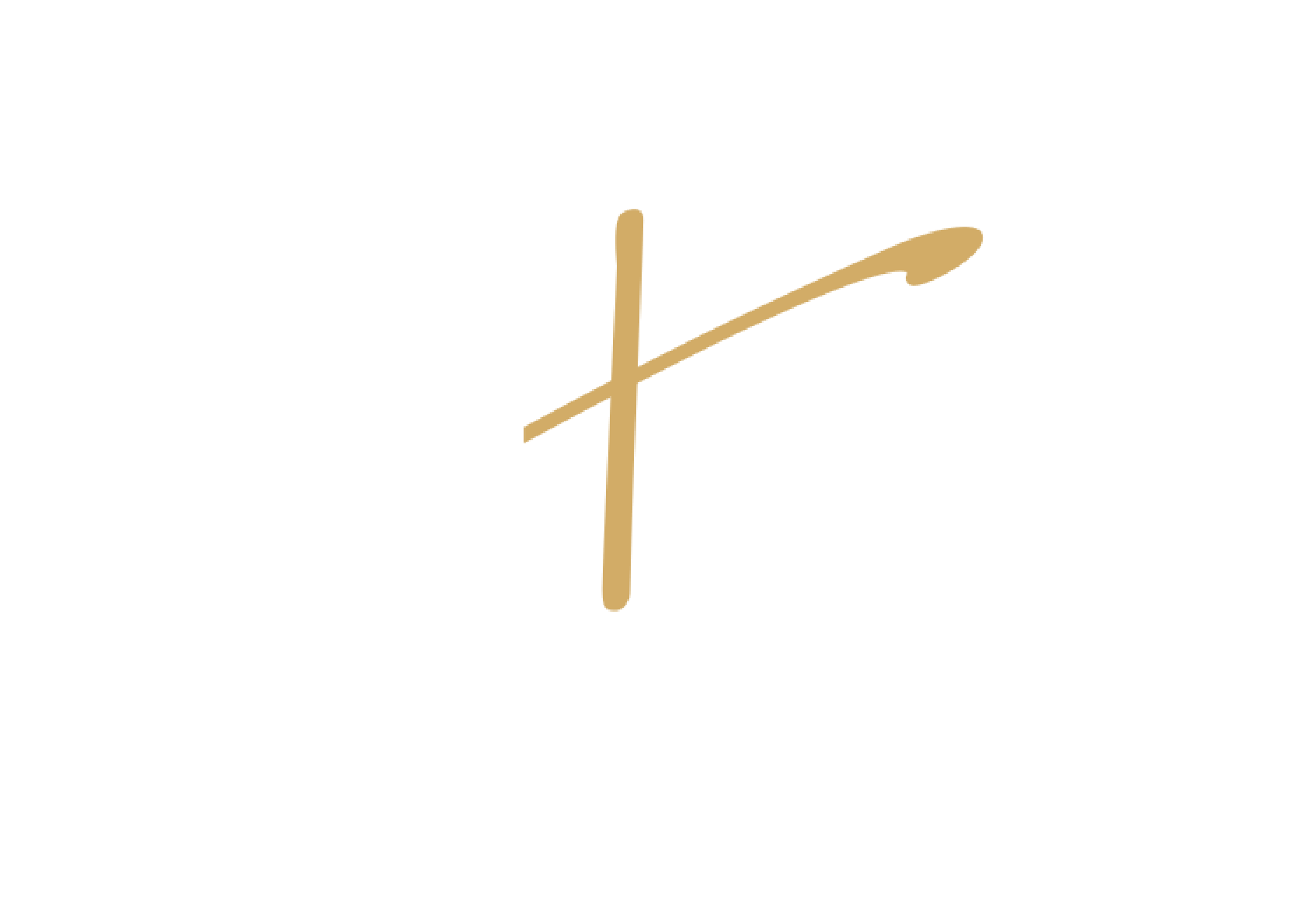 Project Logo